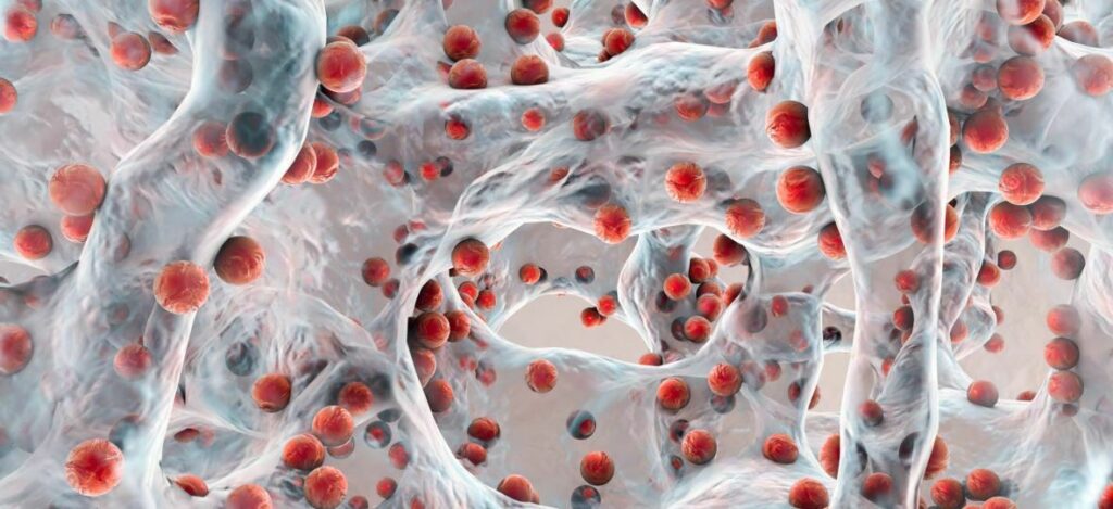 màng biofilm sinh học