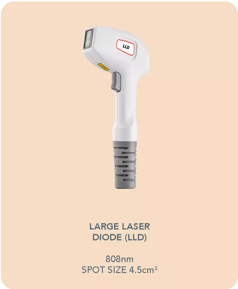 Lld Alpha Tay Cam