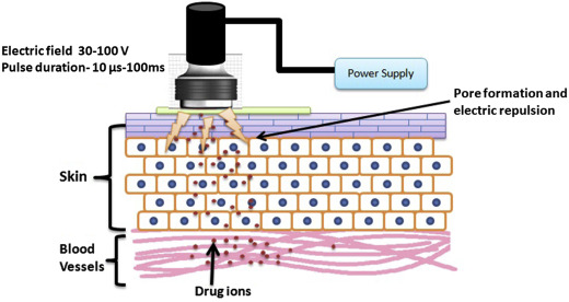 Iontophoresis và Electroporation