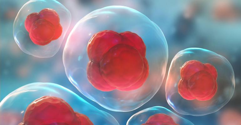 Recombinant Growth Factors - yếu tố tăng trưởng tái tổ hợp